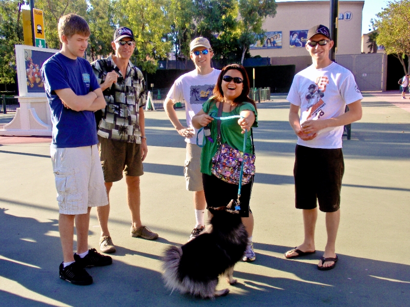 Disney2009 048.jpg - Kuma on his way to Disney Dog House